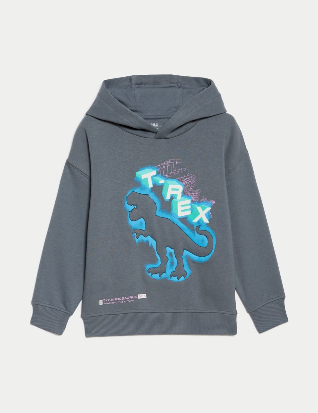 Cotton Rich Dinosaur Hoodie 2 8 Yrs M S Collection M S