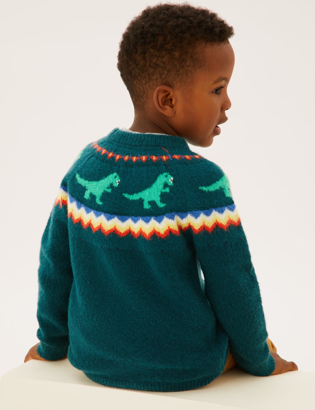 Dinosaur fair isle sweater best sale