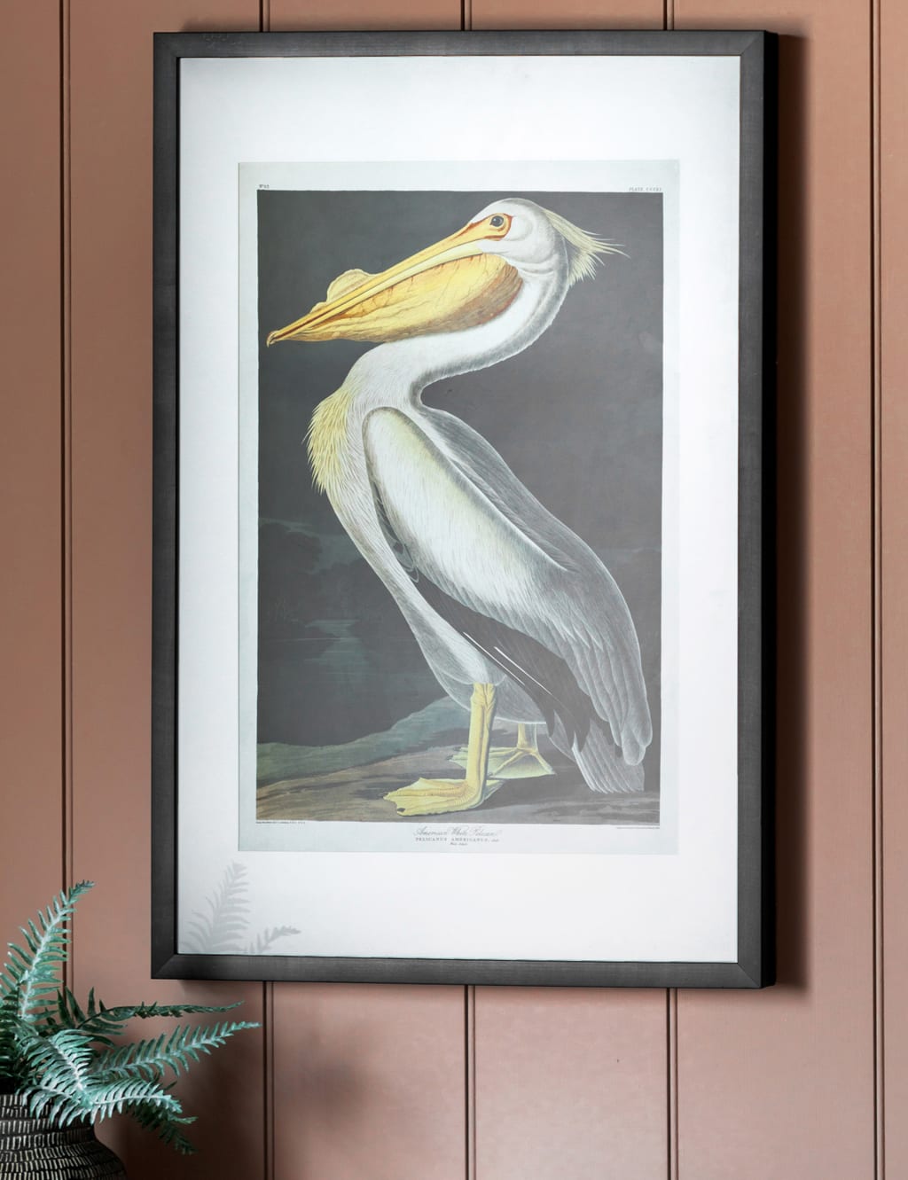 Inquisitive Pelican Rectangle Framed Art 1 of 4