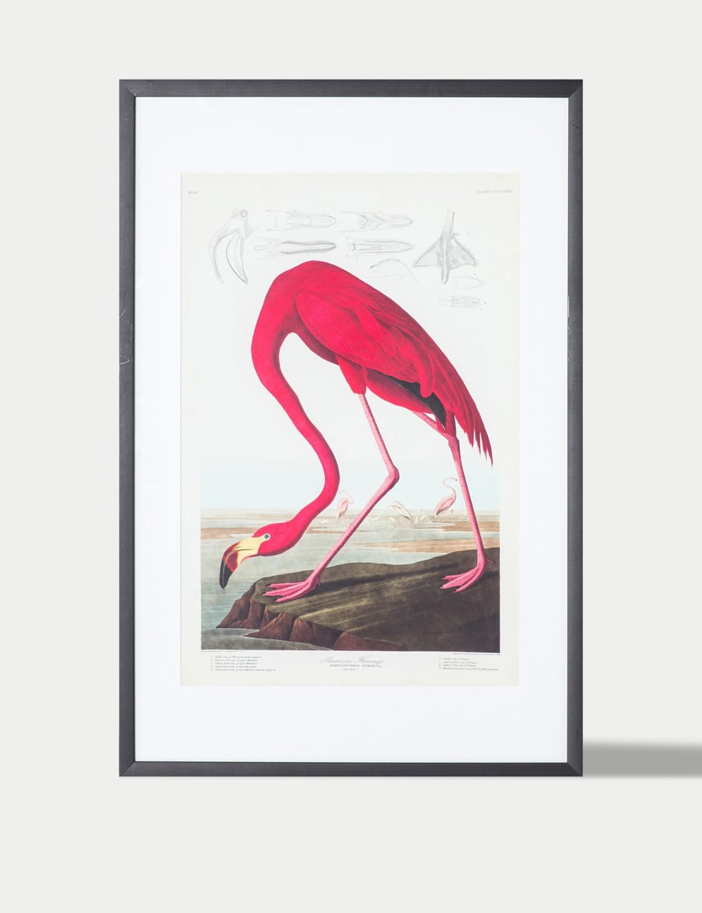 Curious Flamingo Rectangle Framed Art 2 of 4