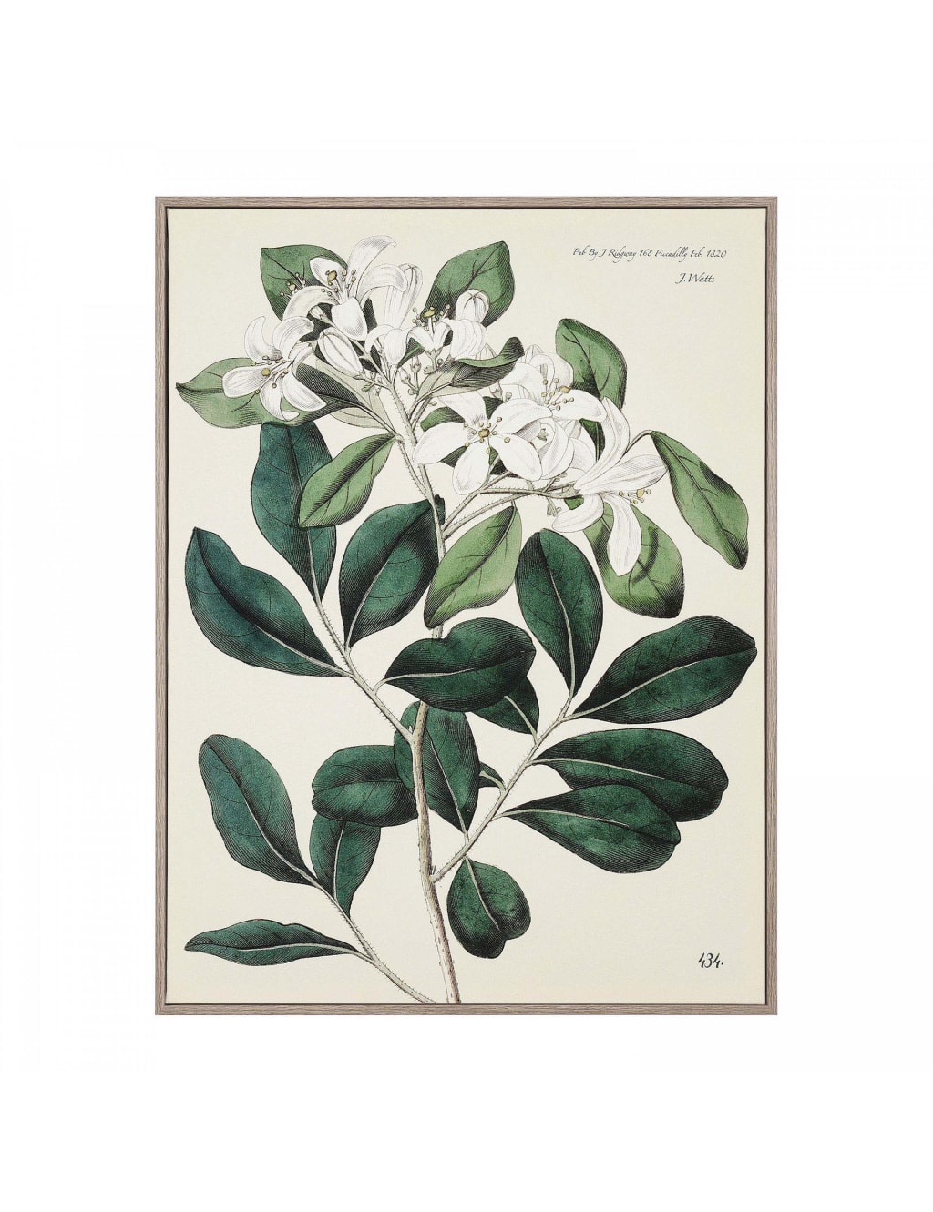 Foliage and Blooms Botanical Framed Art 2 of 2
