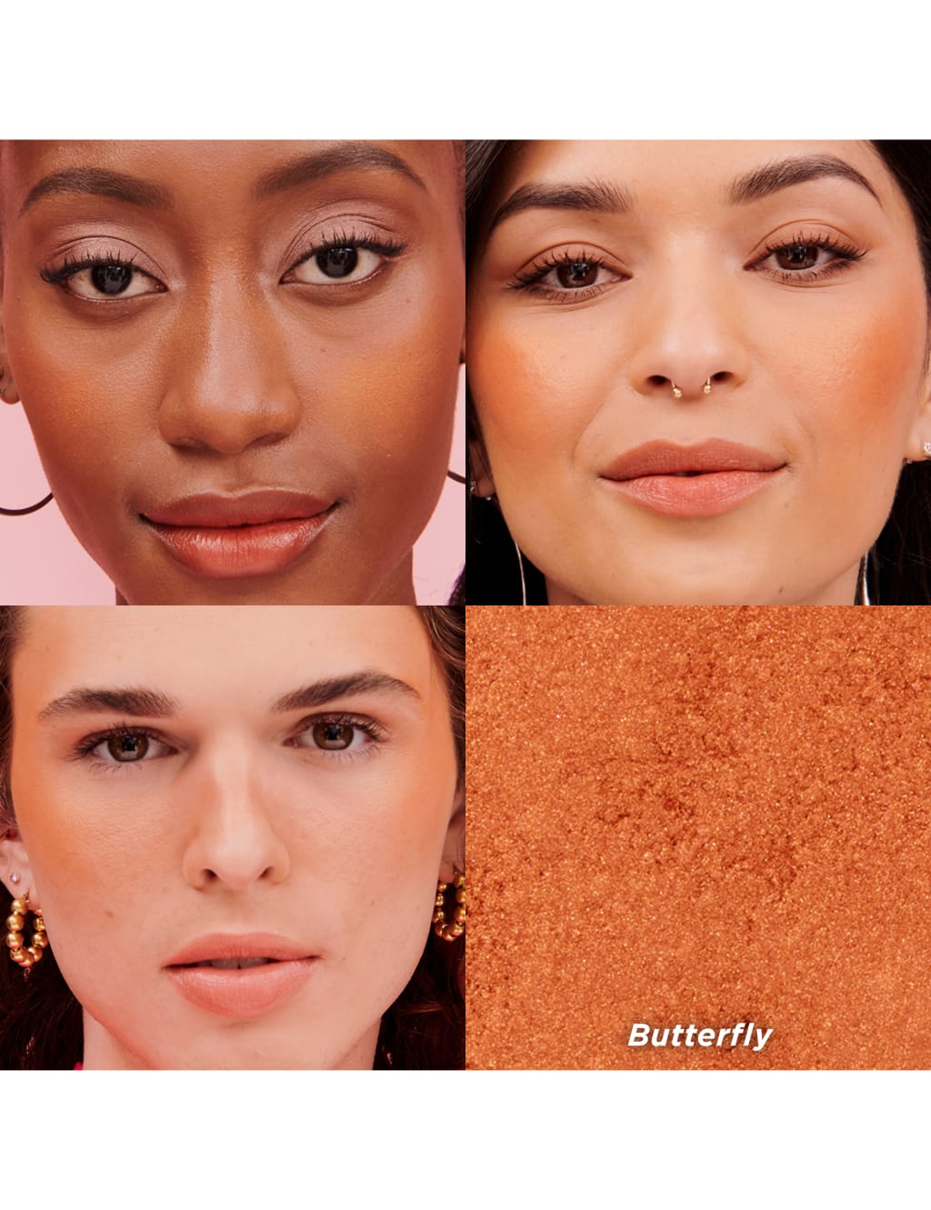 Butterfly Powder Blusher 6g 5 of 9