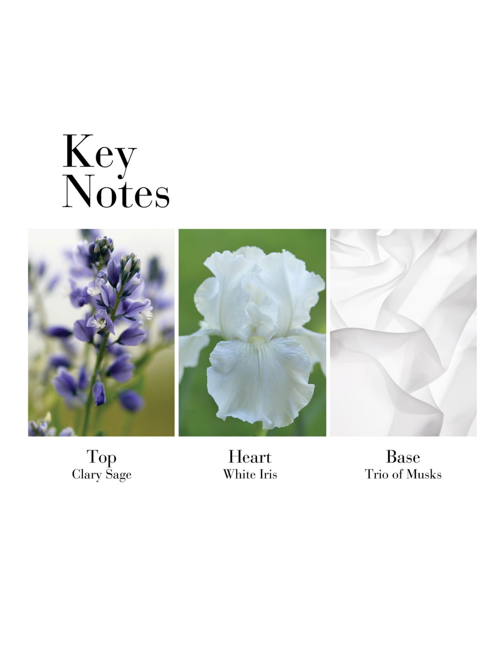 White Tea Eau de Toilette Spray 100ml 6 of 6