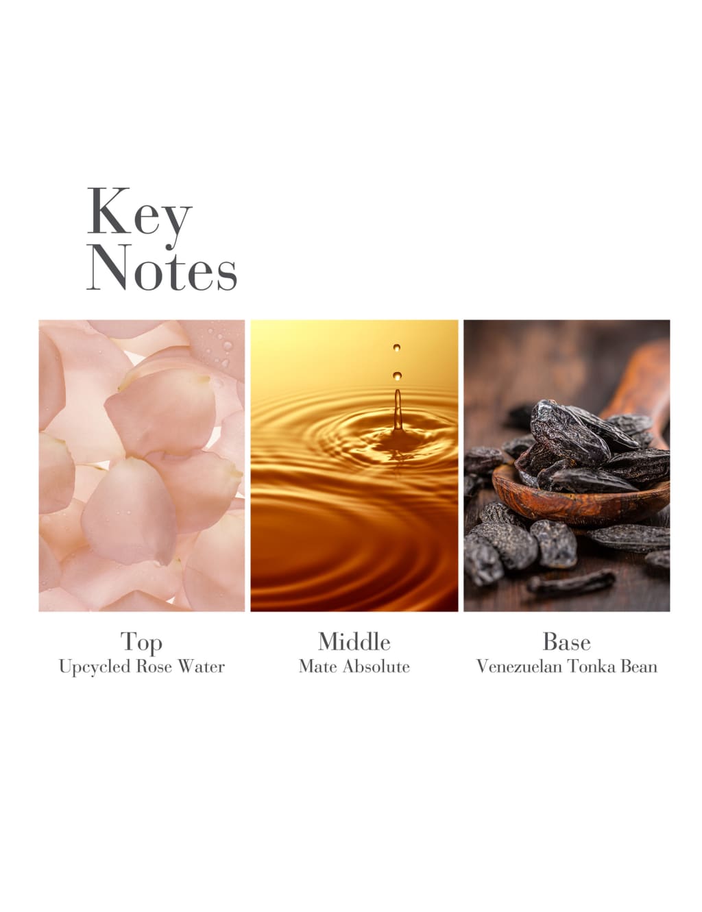 White Tea Eau de Parfum 100ml 4 of 5