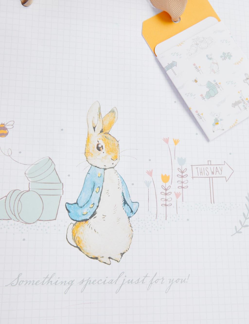 Large Peter Rabbit™ Gift Bag 3 of 3
