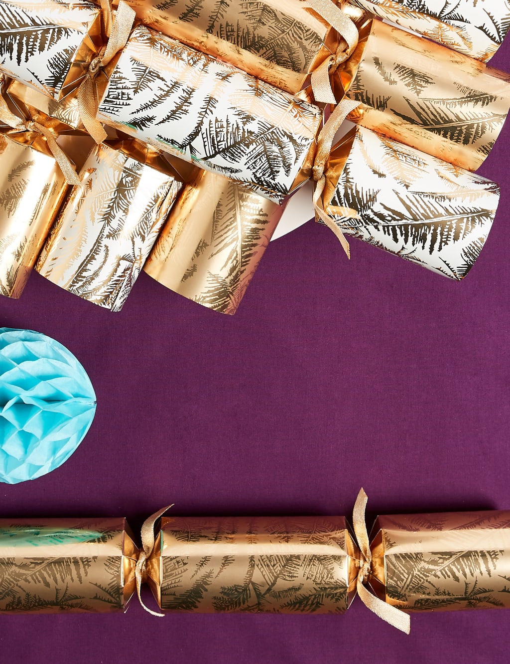 Frosted Fern Family Christmas Crackers Pack of 12 3 of 3