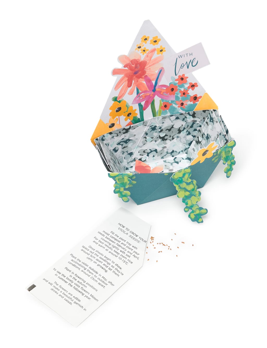 Boxed 3D Pop-up Planter Design Birthday Card 5 of 5