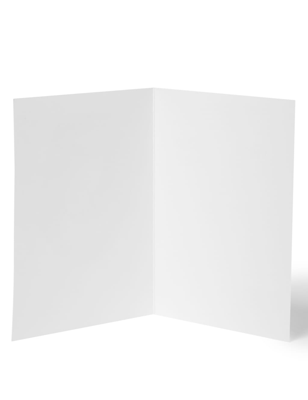 Cute Winter Animals Charity Christmas Cards - Pack of 20 2 of 3