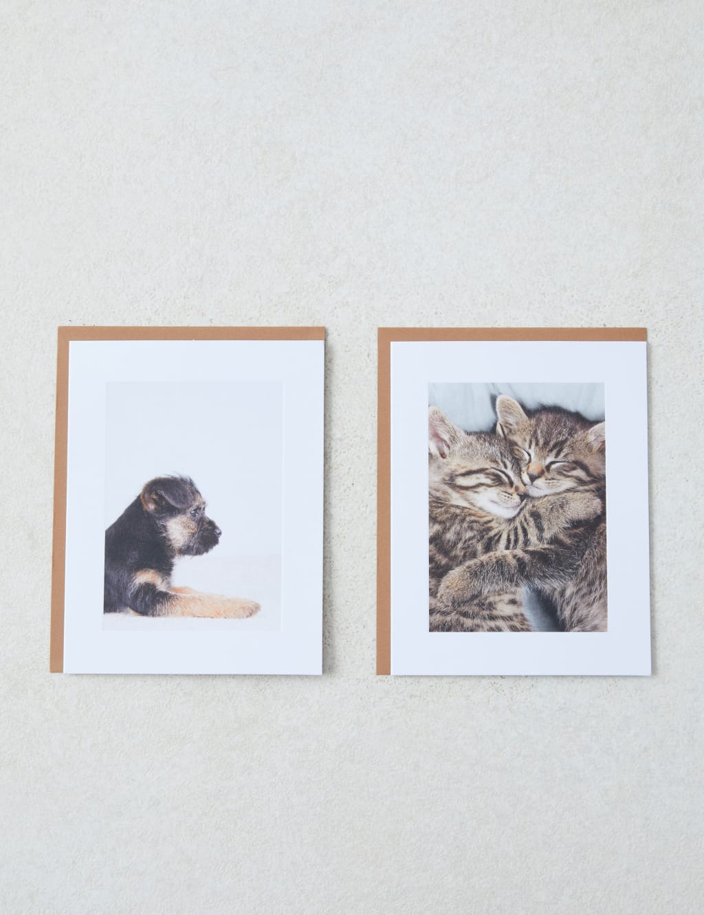 Pack of Cute Photographic Blank Cards - 10 Cards in 2 Designs 1 of 4
