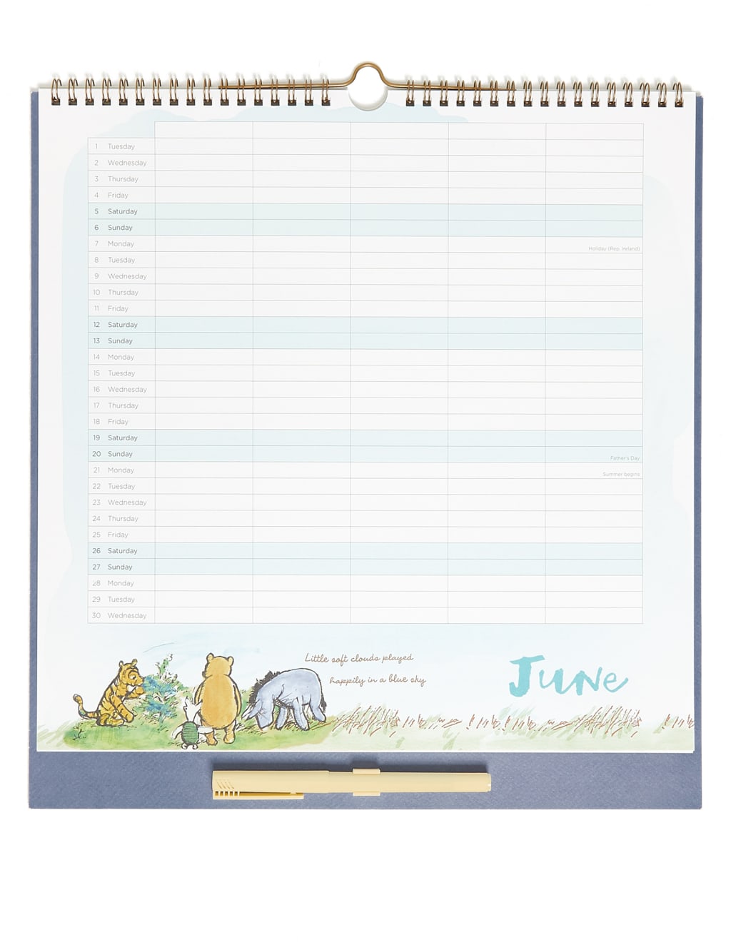Classic Winnie-the-Pooh 2021 Family Organiser with Pen 2 of 3