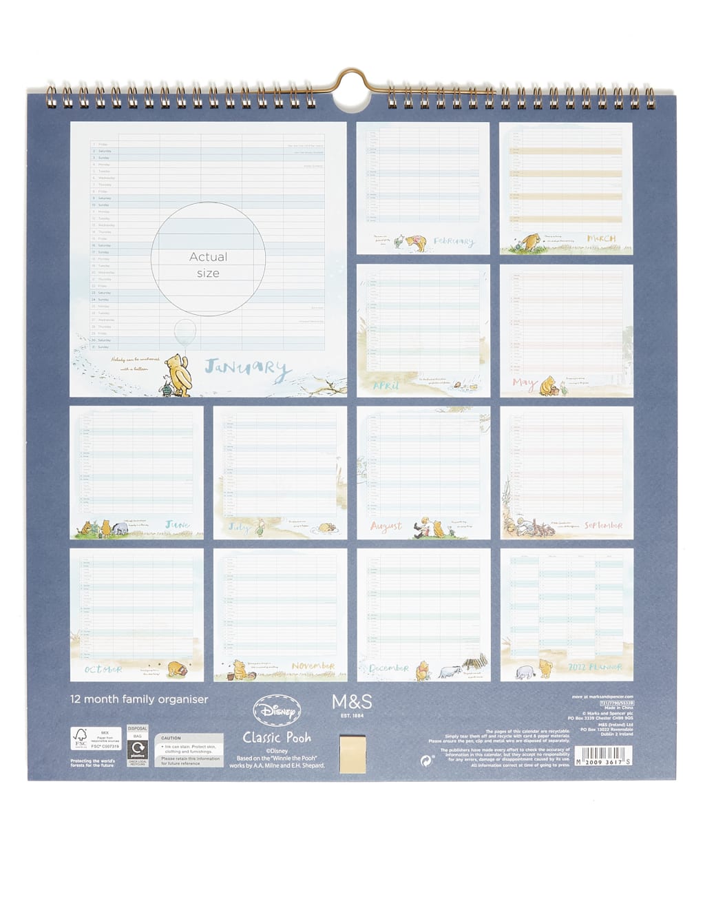 Classic Winnie-the-Pooh 2021 Family Organiser with Pen 3 of 3