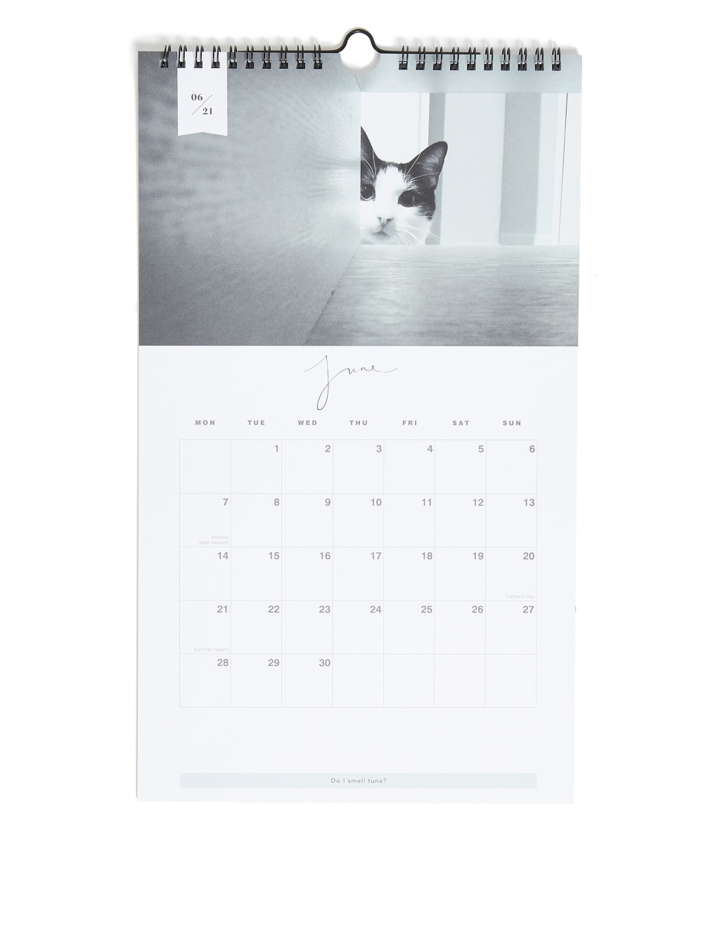 Cat Lovers 2021 Photographic Calendar - Medium 2 of 3