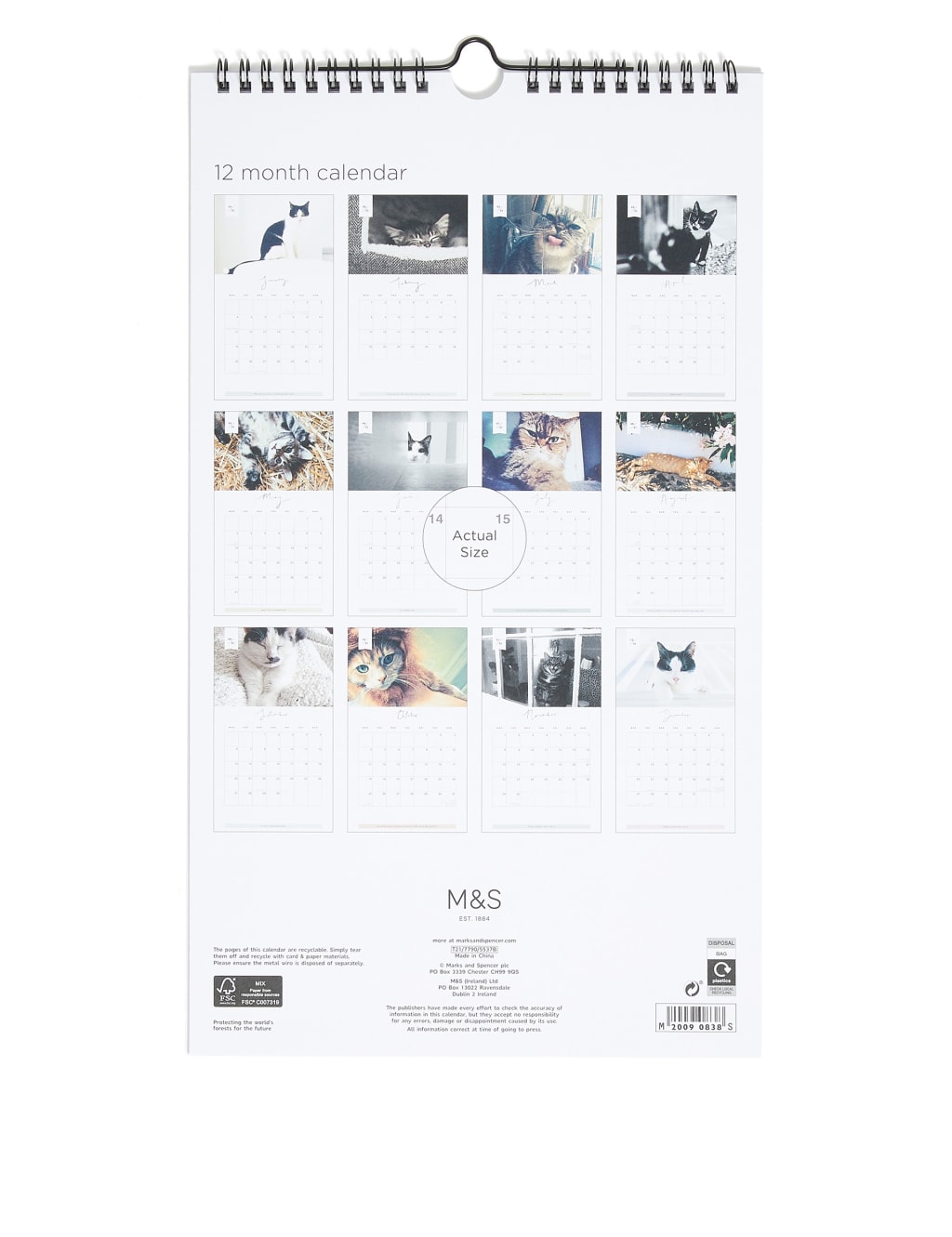 Cat Lovers 2021 Photographic Calendar - Medium 3 of 3