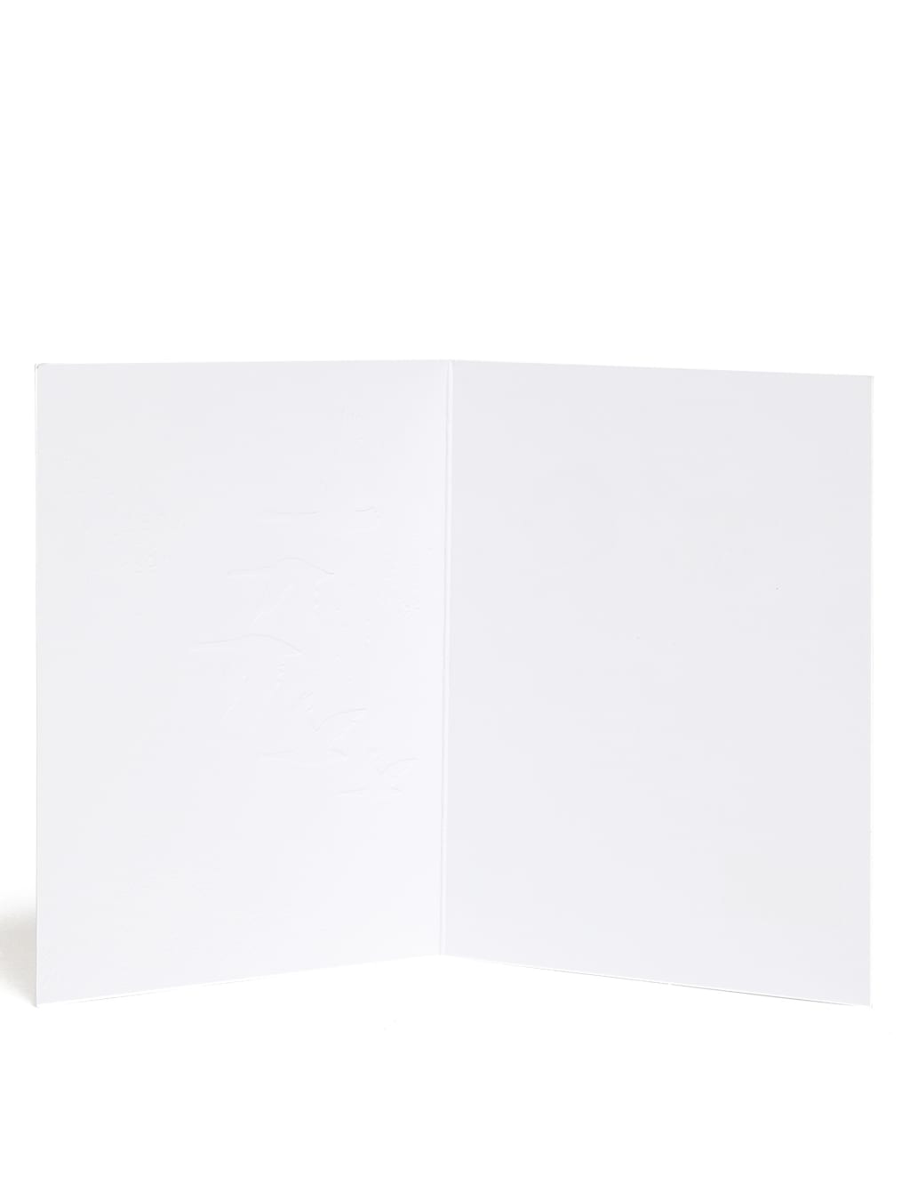 Winter Wonderland Charity Christmas Cards - Pack of 15 - 3 Designs 2 of 5