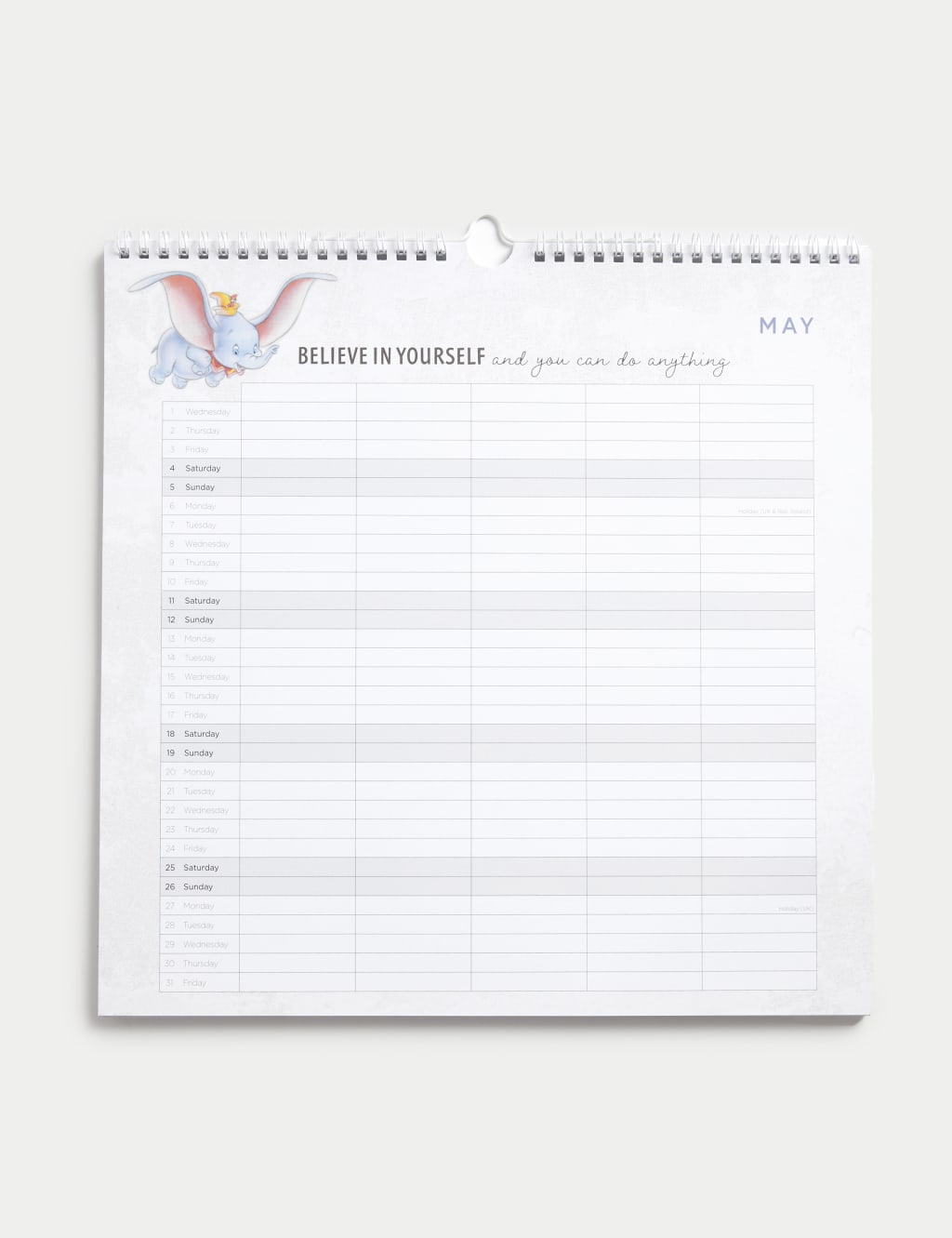 2024  Calendar & Family Organiser - Disney 100 Design 2 of 3