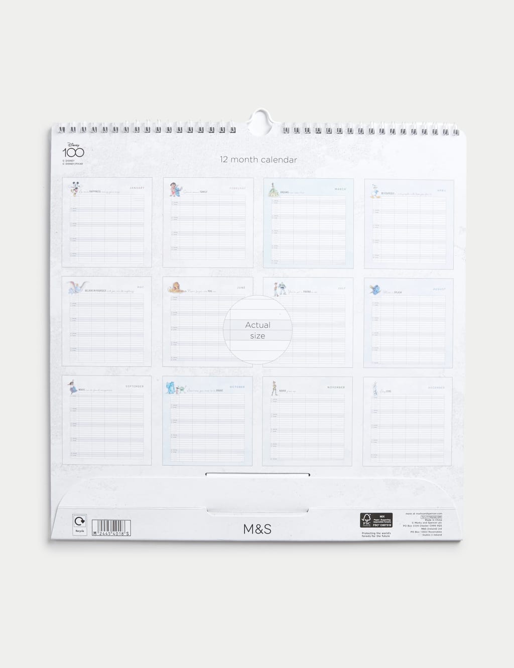 2024  Calendar & Family Organiser - Disney 100 Design 3 of 3