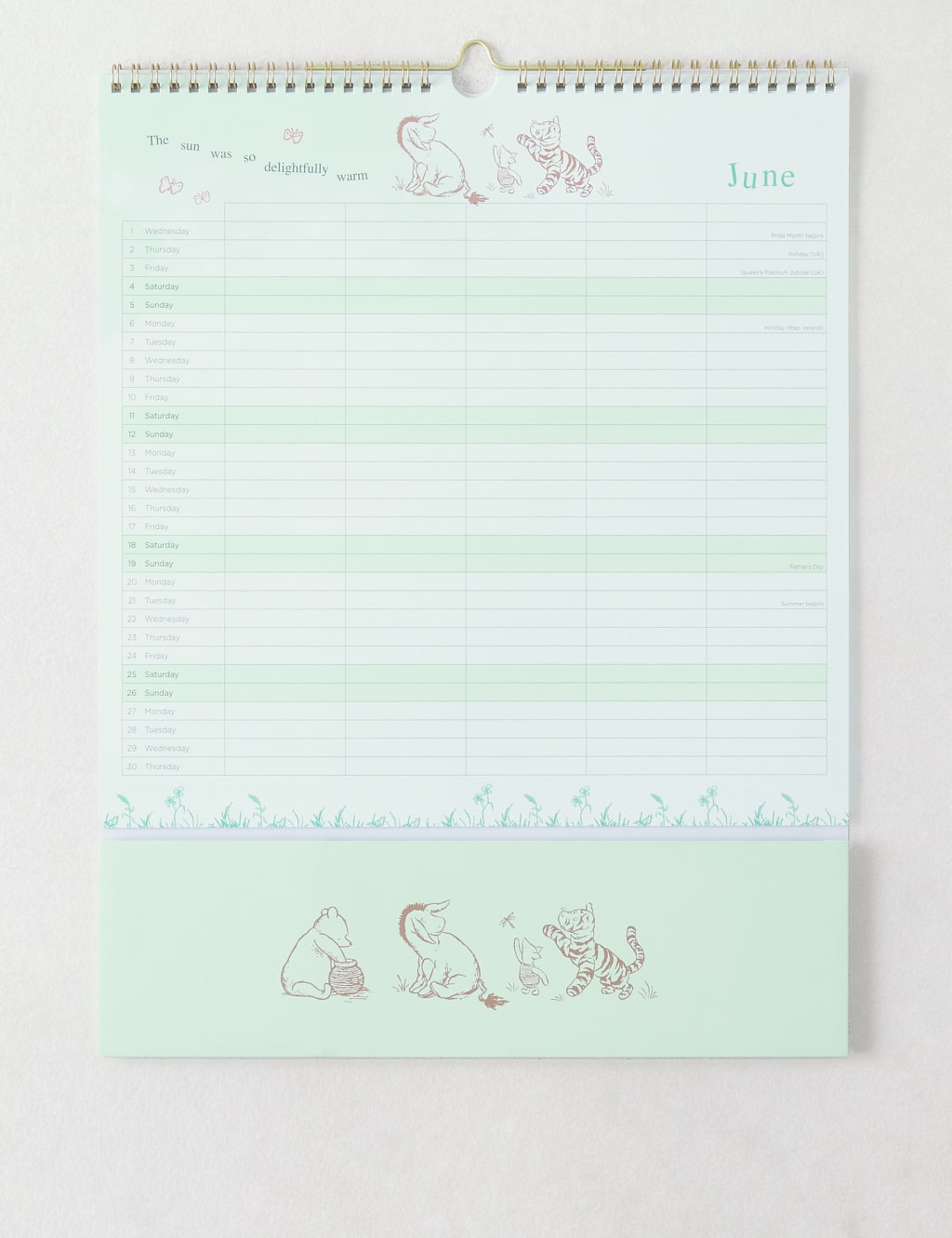 2022 Family Organiser - Winnie-the-Pooh 95th Anniversary Design 3 of 6