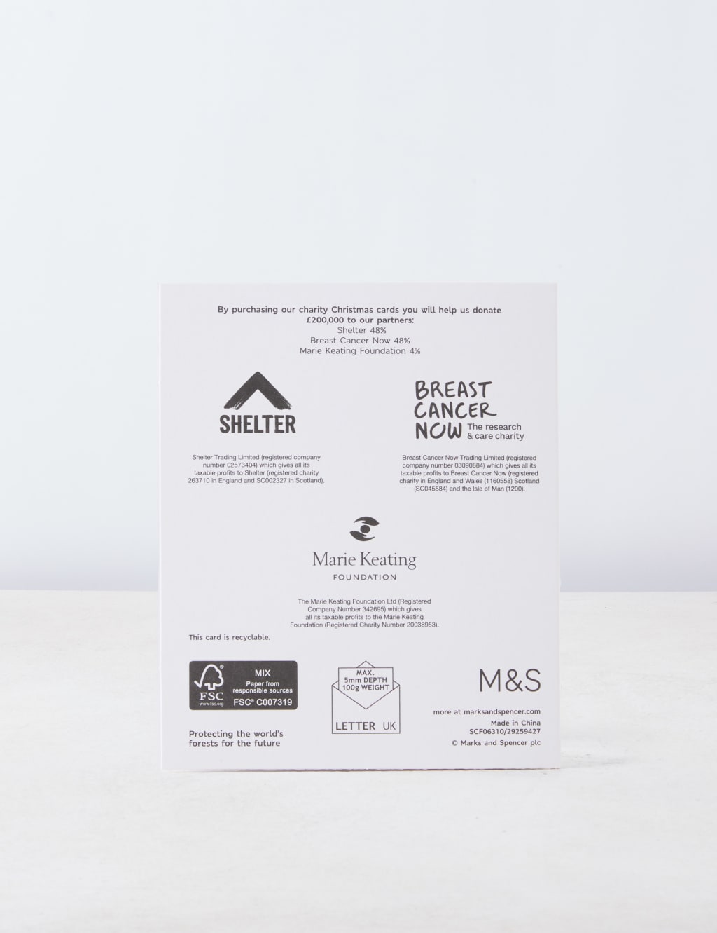 Luxury Silver Foil Charity Christmas Cards - 15 Card Pack 3 of 6