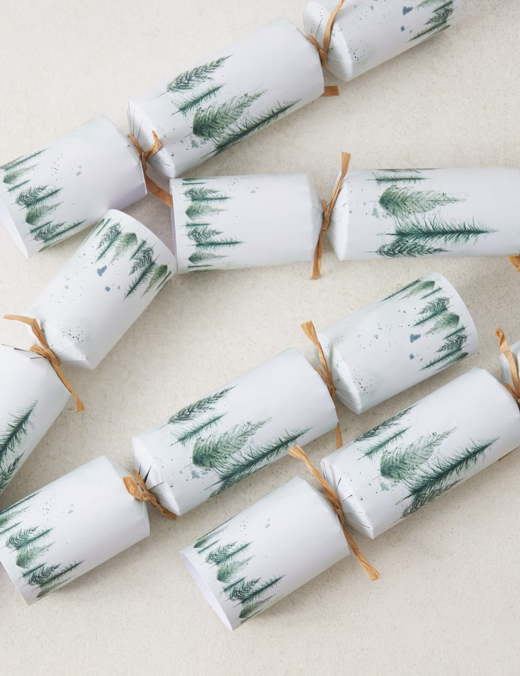 Christmas Crackers with 'Who Am I?' Game - Pack of 12, 1 Design 1 of 4