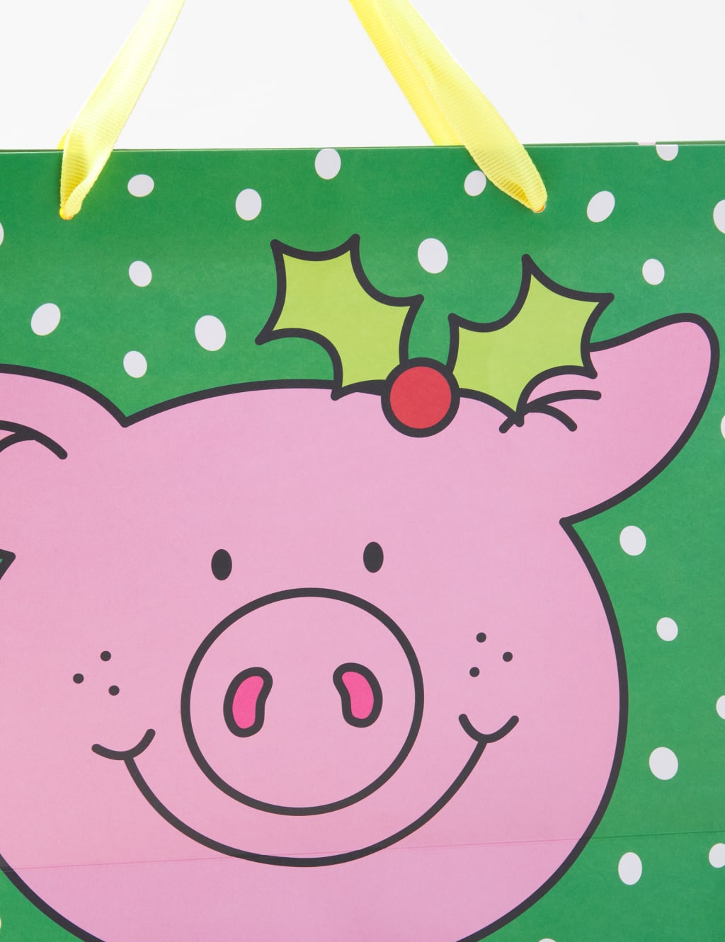 Christmas Wrapping Paper 4m, 6 Tags and Gift Bag Bundle 3 of 5