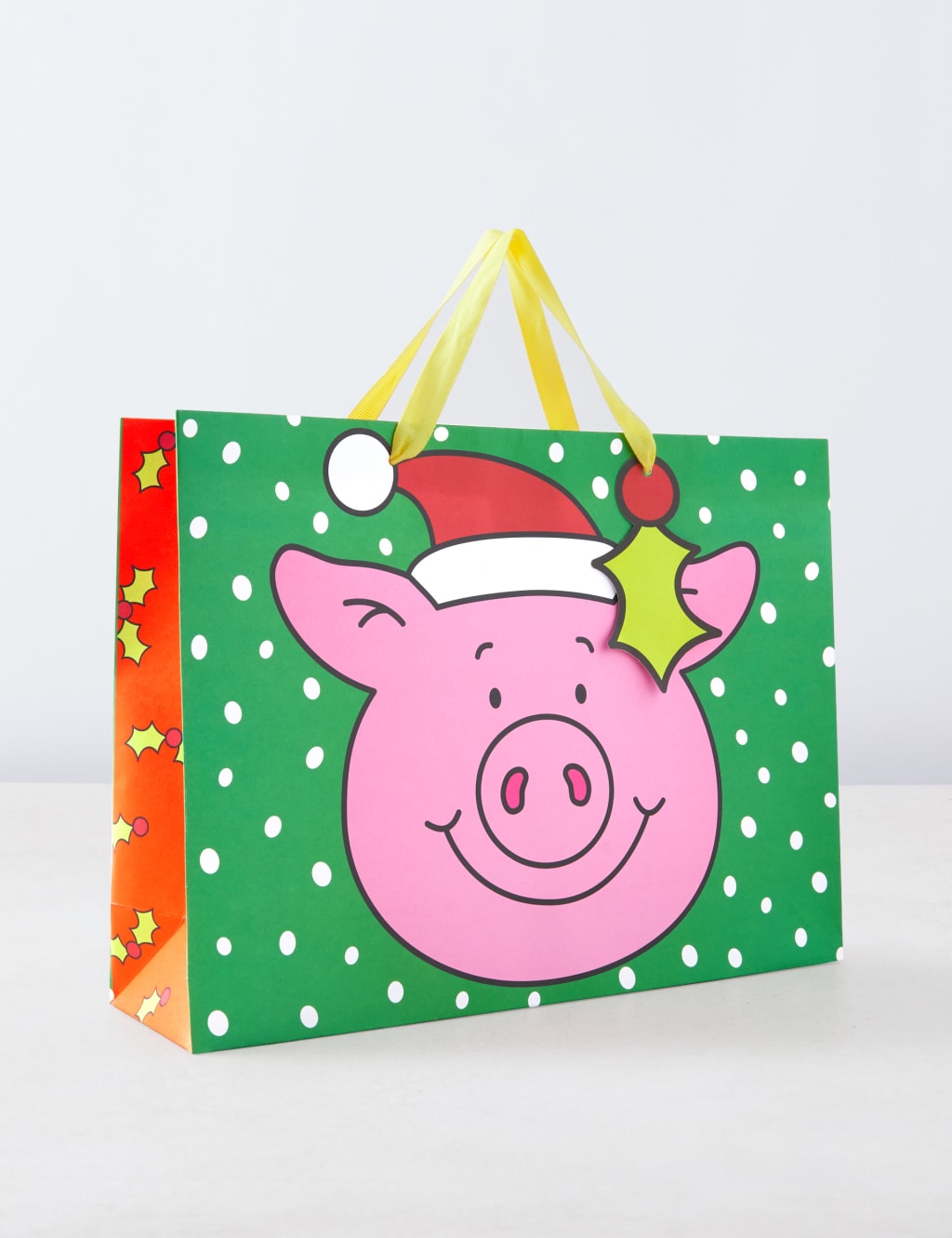 Christmas Wrapping Paper 4m, 6 Tags and Gift Bag Bundle 4 of 5