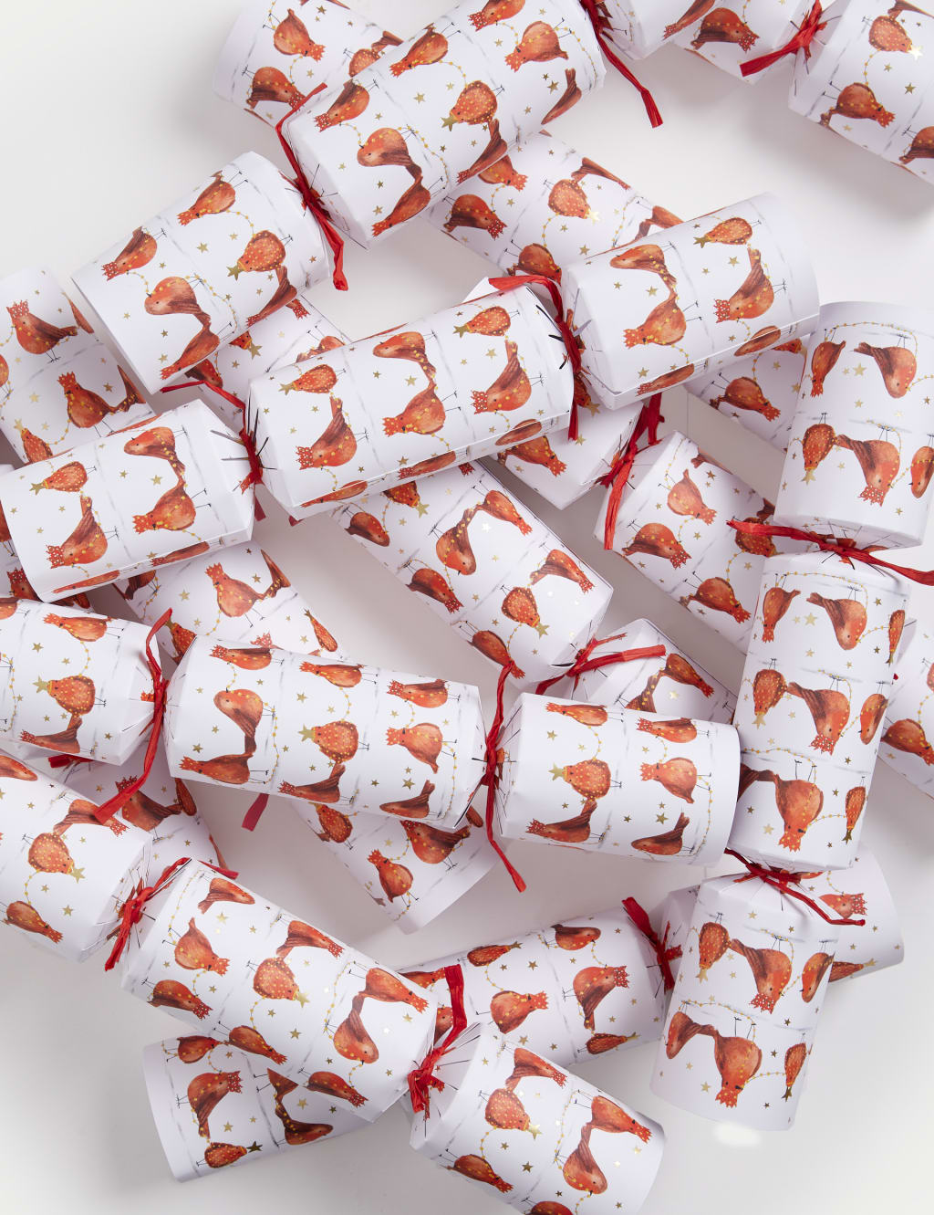 12 'Who Am I?' Guessing Game Christmas Crackers - Robins Design 3 of 4