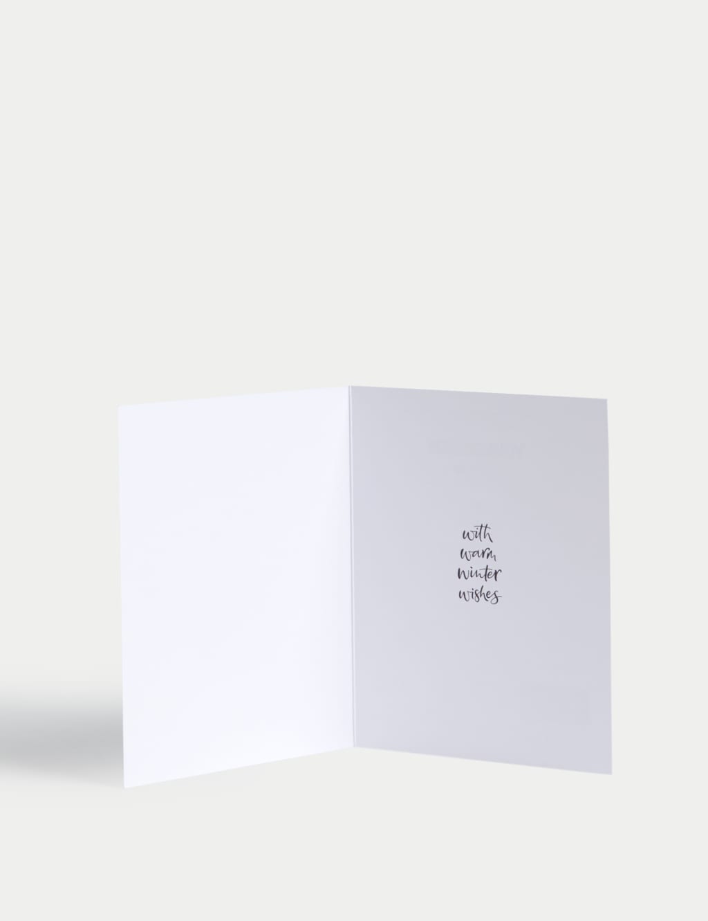 34 Charity Christmas Cards - Winter Foliage Designs 5 of 10