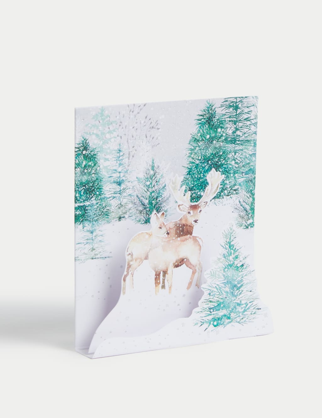 34 Charity Christmas Cards - Winter Foliage Designs 9 of 10