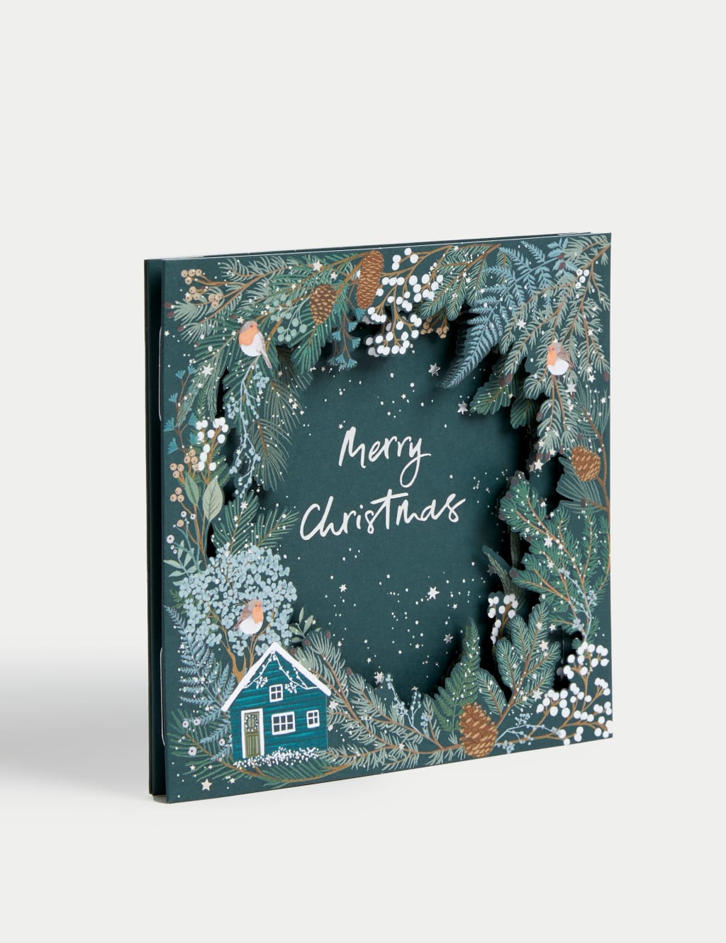 34 Charity Christmas Cards - Winter Foliage Designs 10 of 10