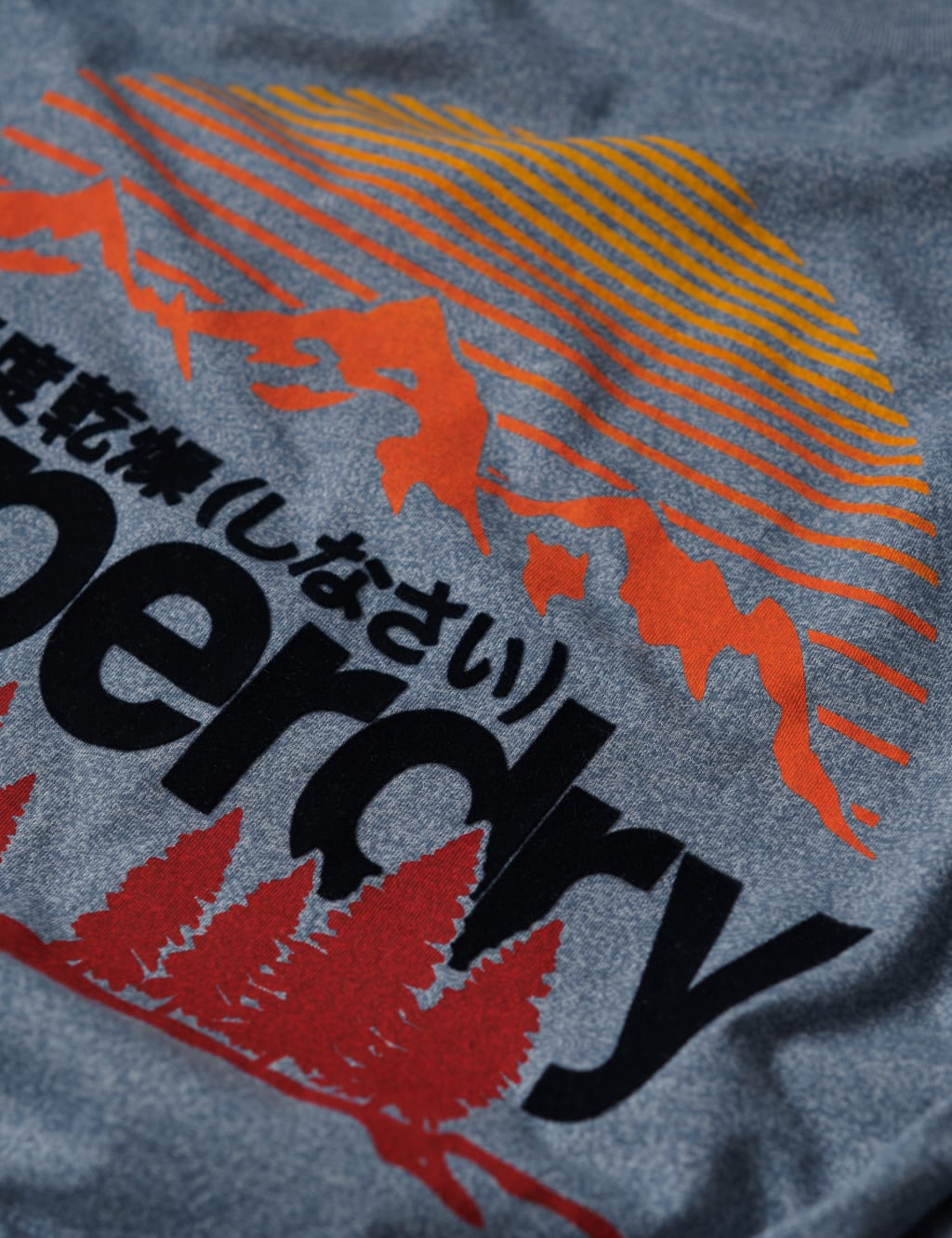 Relaxed Fit Cotton Blend Logo Graphic T-Shirt 5 of 6