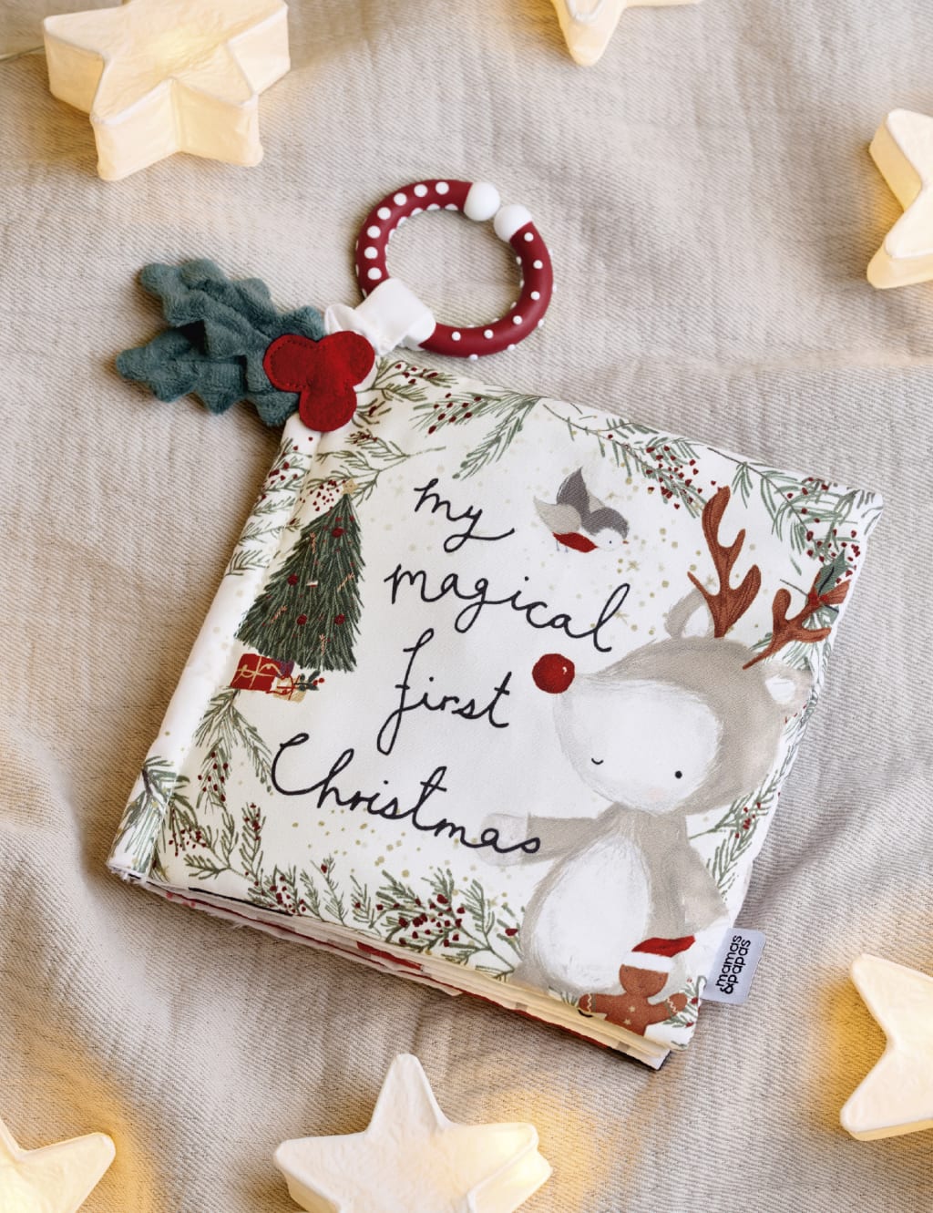 Christmas Reindeer Activity Book (0+ Mths) 1 of 6