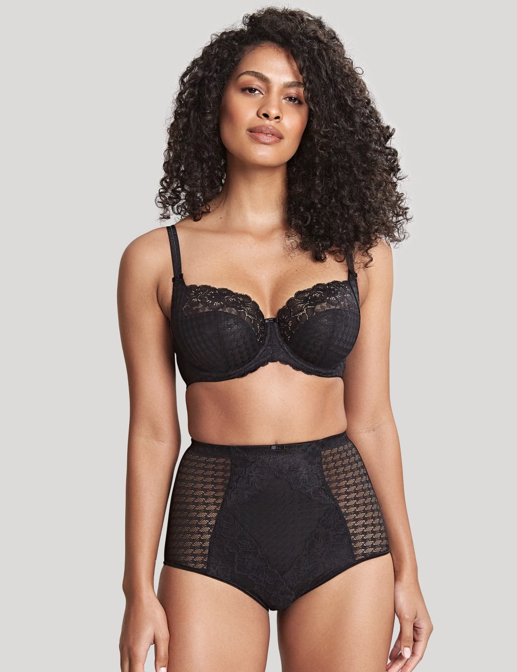 Envy Mesh & Lace Full Briefs 1 of 4