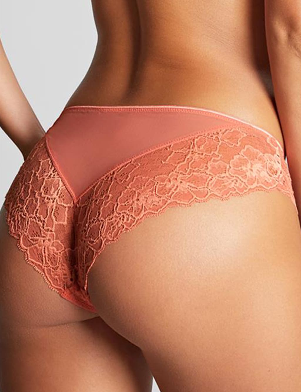 Envy Brazilian Mesh & Lace Knickers 3 of 4
