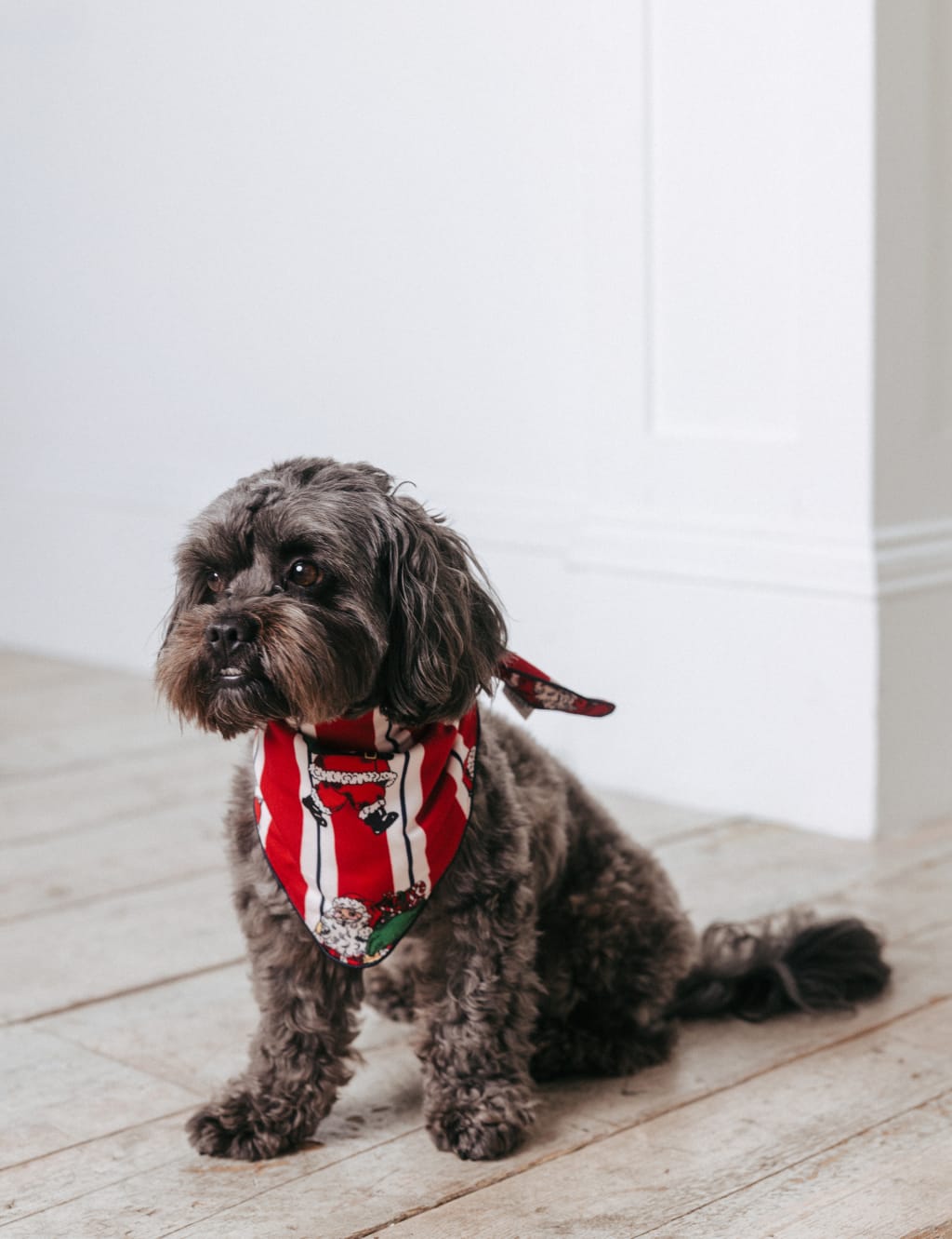 Pet neckerchief discount