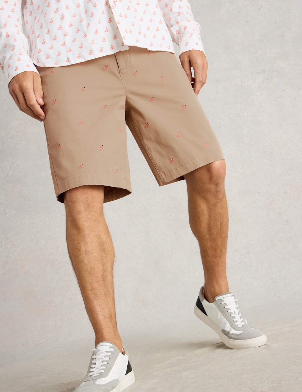 Regular Fit Flamingo Chino Shorts 3 of 6
