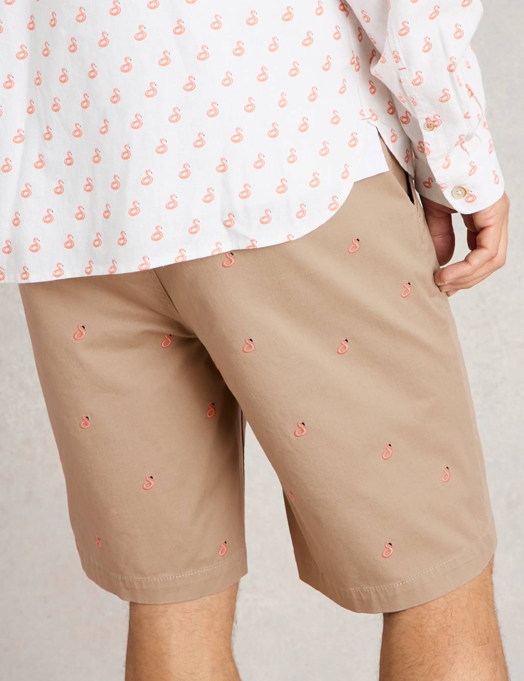Regular Fit Flamingo Chino Shorts 4 of 6