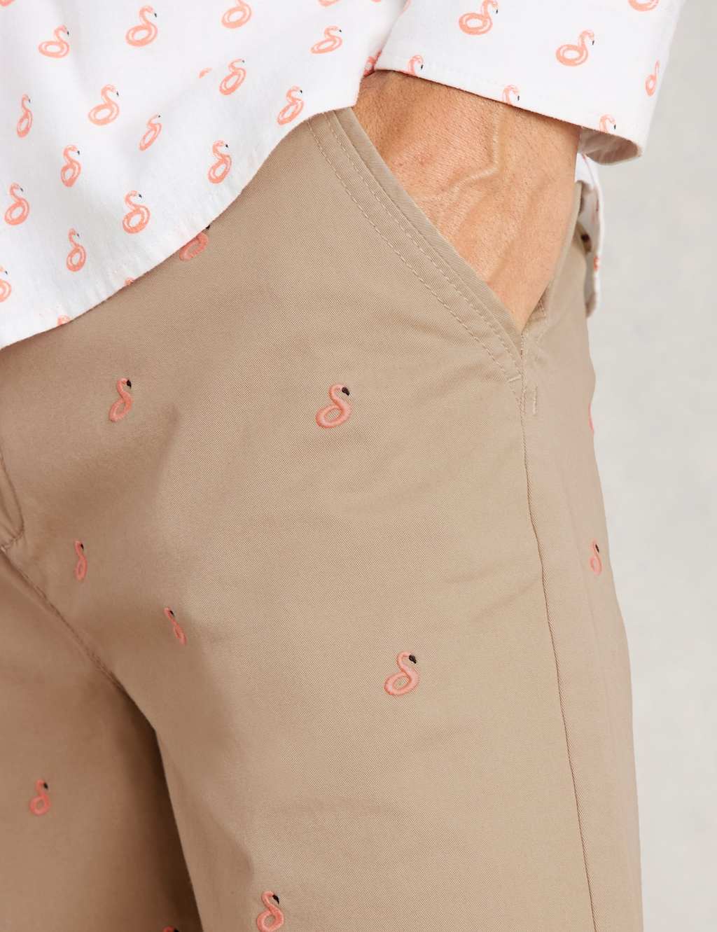 Regular Fit Flamingo Chino Shorts 5 of 6