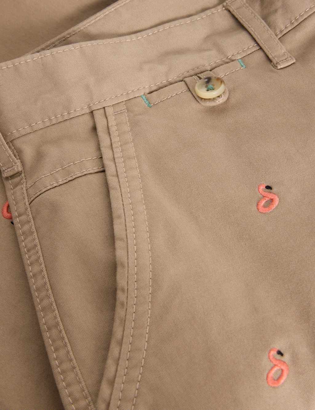 Regular Fit Flamingo Chino Shorts 6 of 6