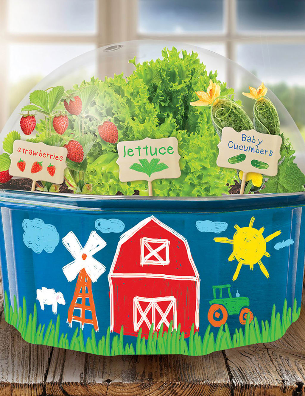Grow and Decorate Your Own Farmers Garden (6+ Years) 3 of 3