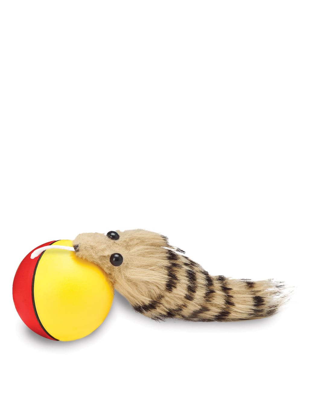 Ferret ball toy new arrivals