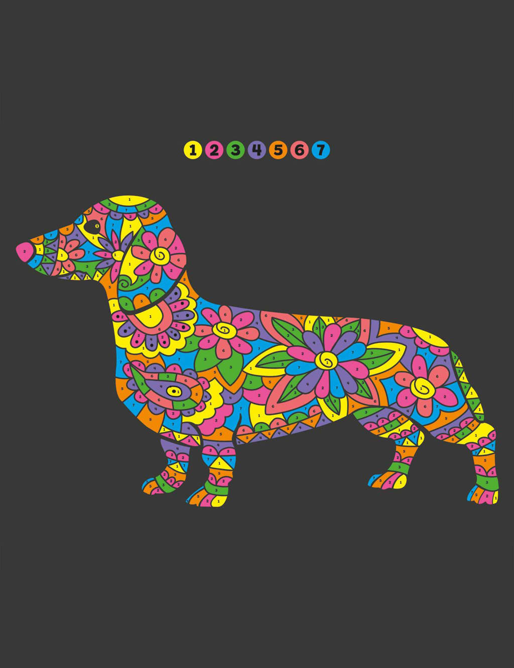 Animal Paint By Numbers Kit (8-12 Yrs) 7 of 7