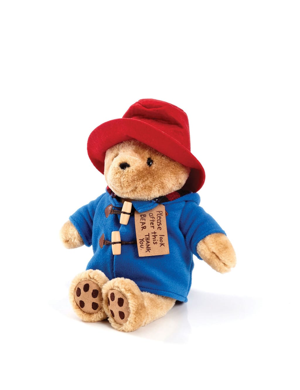 Paddington™ Soft Toy (0-3 Yrs) 3 of 5