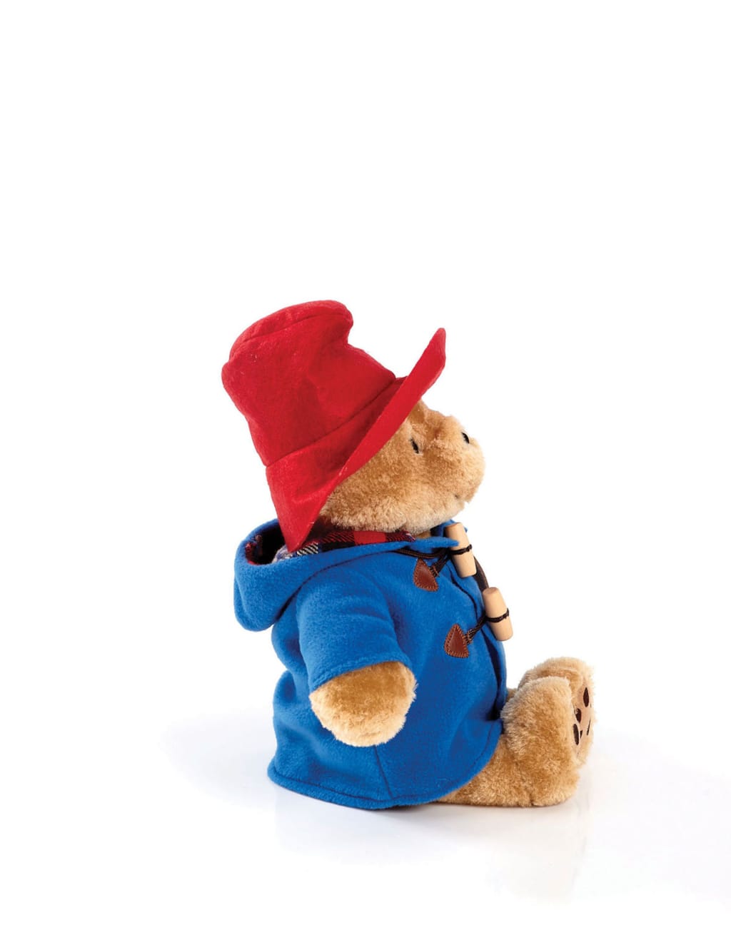 Paddington™ Soft Toy (0-3 Yrs) 4 of 5