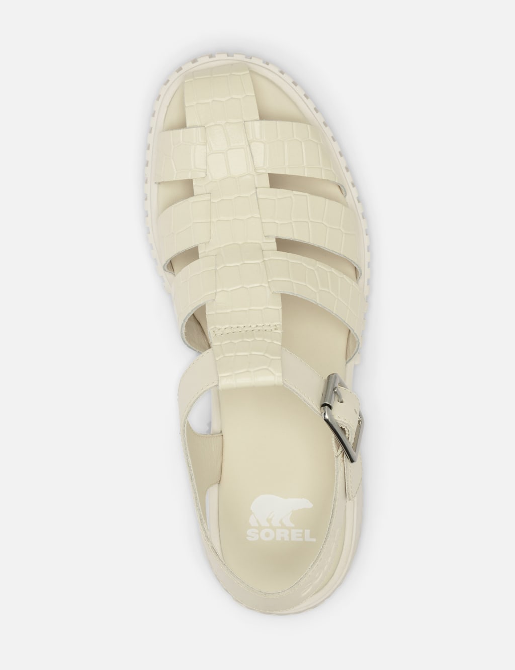 Buckle sorel store