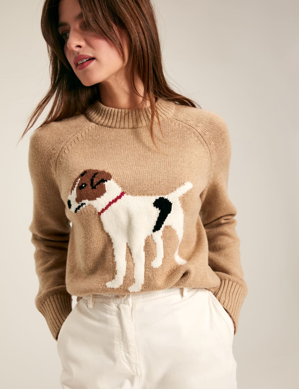Cotton Rich Dog Round Neck Jumper with Wool 1 of 7