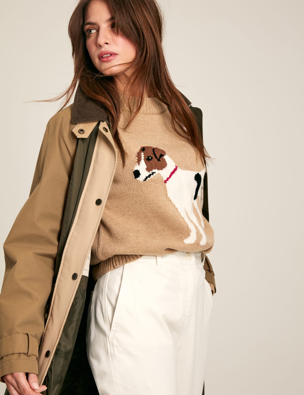 Cotton Rich Dog Round Neck Jumper with Wool 6 of 7