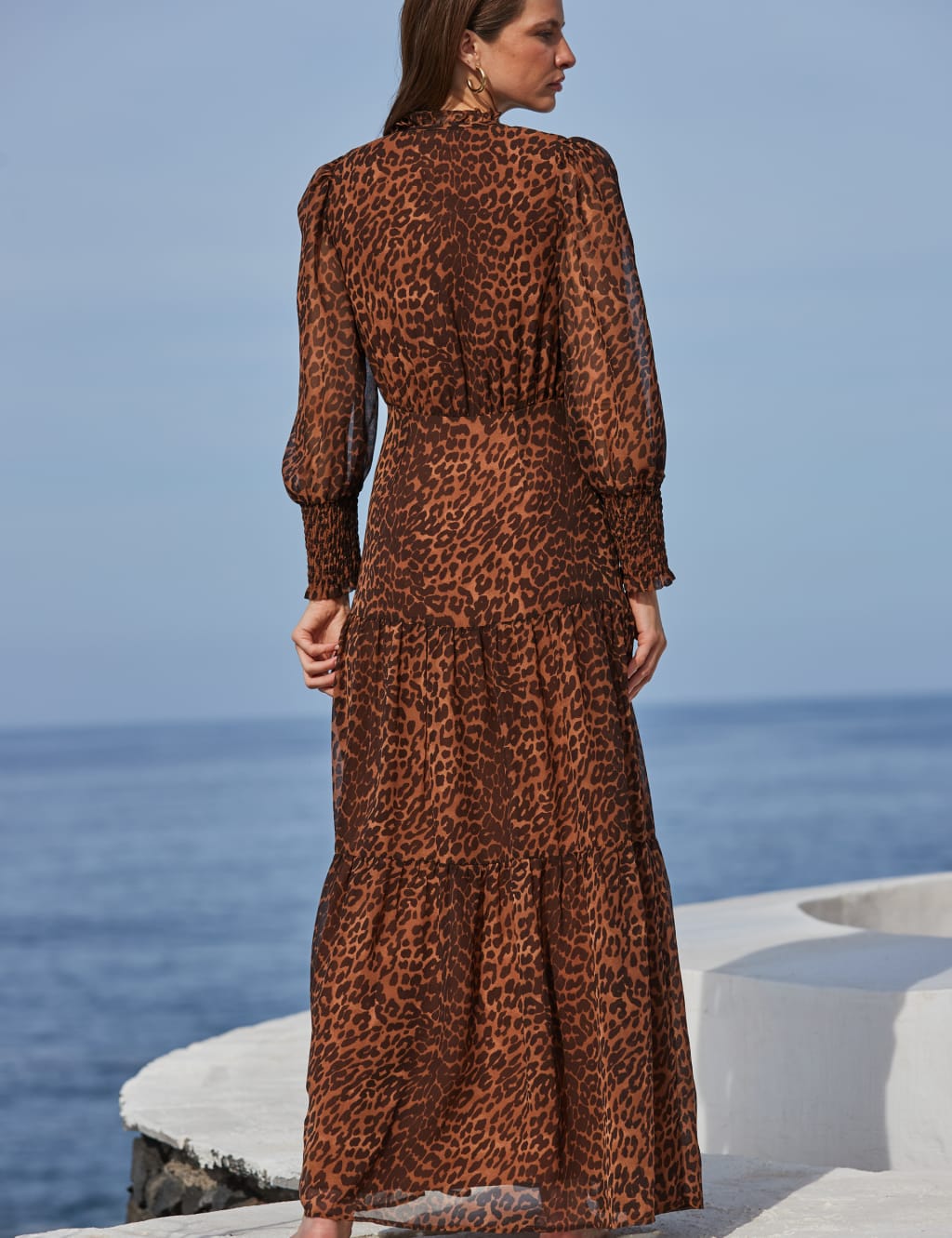 Animal Print V-Neck Maxi Tiered Dress 3 of 6