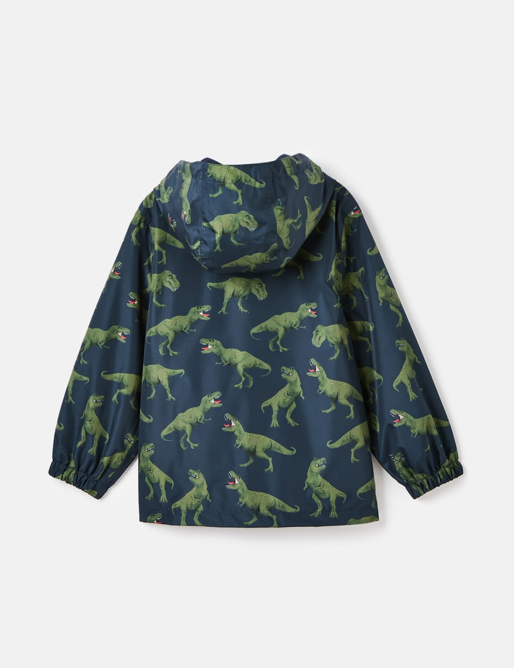 Dinosaur raincoat online
