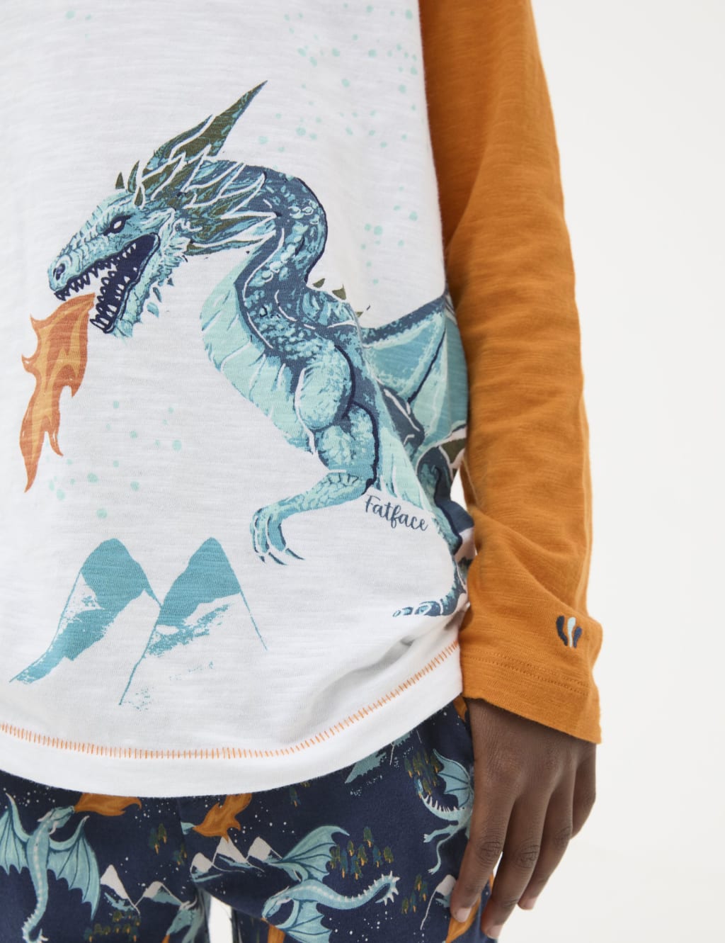 Pure Cotton Ice Dragon Pyjama Set 3 13 Yrs