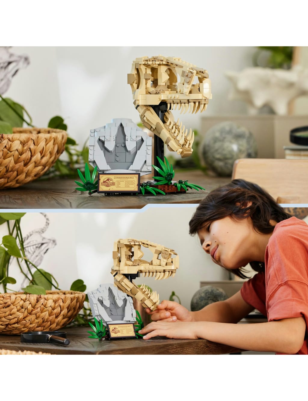 LEGO® Jurassic World Dinosaur Fossils: T. rex Skull 76964 (9+ Yrs) 4 of 5